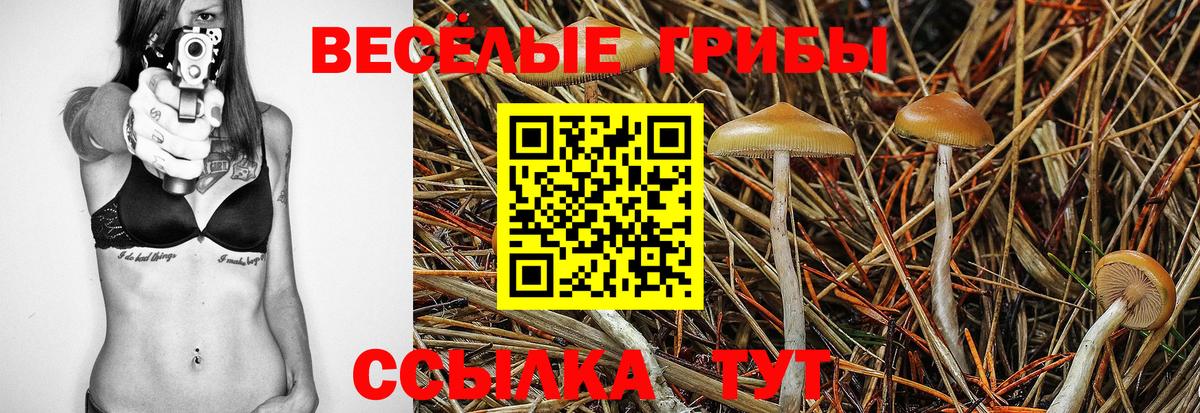 Псилоцибиновые грибы Magic Shrooms Котовск