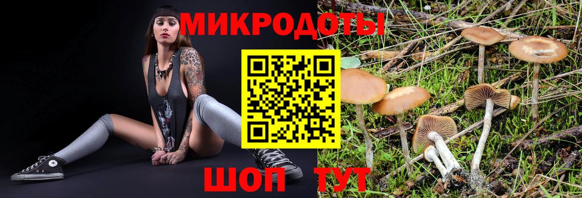 Галлюциногенные грибы мухоморы  хочу наркоту  Котовск  Вход с VPN  Псилоцибиновые грибы прущие грибы 